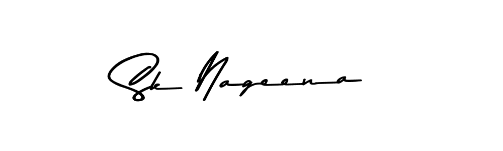 You should practise on your own different ways (Asem Kandis PERSONAL USE) to write your name (Sk Nageena) in signature. don't let someone else do it for you. Sk Nageena signature style 9 images and pictures png