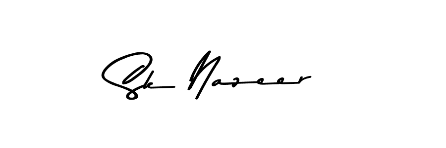 You should practise on your own different ways (Asem Kandis PERSONAL USE) to write your name (Sk Nazeer) in signature. don't let someone else do it for you. Sk Nazeer signature style 9 images and pictures png