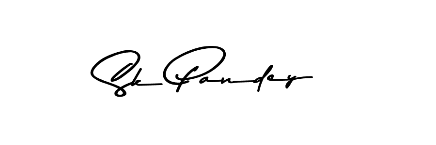 You should practise on your own different ways (Asem Kandis PERSONAL USE) to write your name (Sk Pandey) in signature. don't let someone else do it for you. Sk Pandey signature style 9 images and pictures png