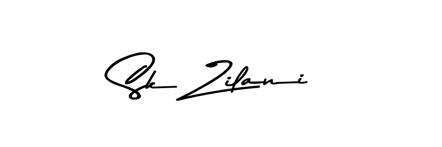 Make a beautiful signature design for name Sk Zilani. Use this online signature maker to create a handwritten signature for free. Sk Zilani signature style 9 images and pictures png