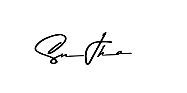 Make a beautiful signature design for name Sn Jha. Use this online signature maker to create a handwritten signature for free. Sn Jha signature style 9 images and pictures png