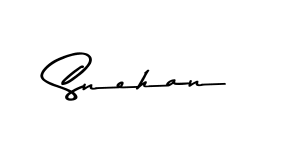 You should practise on your own different ways (Asem Kandis PERSONAL USE) to write your name (Snehan) in signature. don't let someone else do it for you. Snehan signature style 9 images and pictures png