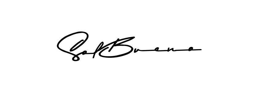 Similarly Asem Kandis PERSONAL USE is the best handwritten signature design. Signature creator online .You can use it as an online autograph creator for name Sol Bueno. Sol Bueno signature style 9 images and pictures png