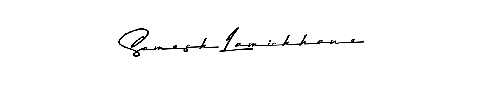 The best way (Asem Kandis PERSONAL USE) to make a short signature is to pick only two or three words in your name. The name Somesh Lamichhane include a total of six letters. For converting this name. Somesh Lamichhane signature style 9 images and pictures png
