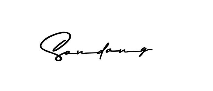 Make a beautiful signature design for name Sondang. Use this online signature maker to create a handwritten signature for free. Sondang signature style 9 images and pictures png