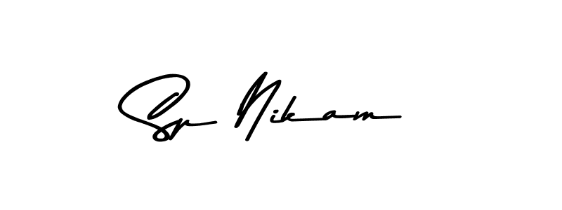 Sp Nikam stylish signature style. Best Handwritten Sign (Asem Kandis PERSONAL USE) for my name. Handwritten Signature Collection Ideas for my name Sp Nikam. Sp Nikam signature style 9 images and pictures png