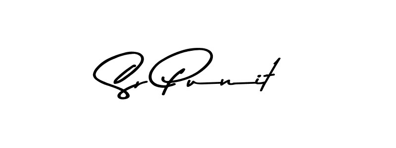 Make a beautiful signature design for name Sr Punit. Use this online signature maker to create a handwritten signature for free. Sr Punit signature style 9 images and pictures png
