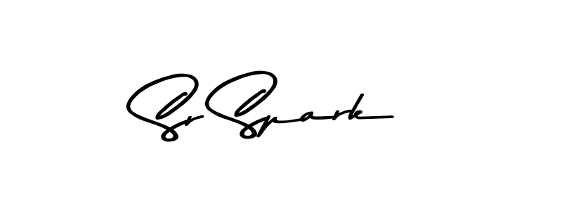 Sr Spark stylish signature style. Best Handwritten Sign (Asem Kandis PERSONAL USE) for my name. Handwritten Signature Collection Ideas for my name Sr Spark. Sr Spark signature style 9 images and pictures png