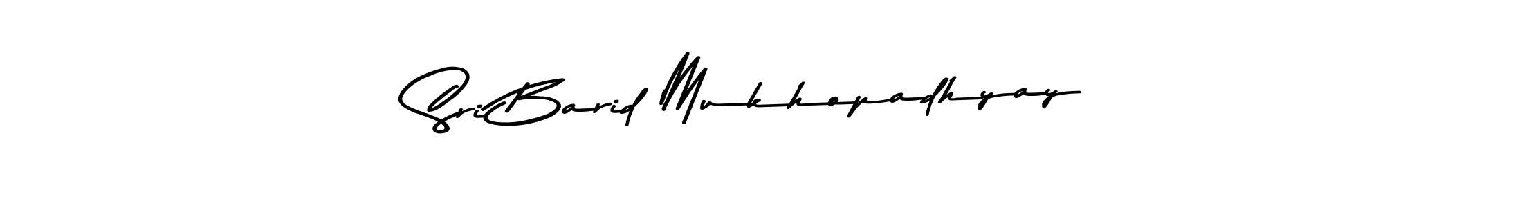 Here are the top 10 professional signature styles for the name Sri Barid Mukhopadhyay. These are the best autograph styles you can use for your name. Sri Barid Mukhopadhyay signature style 9 images and pictures png