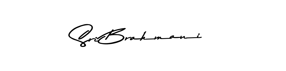 Make a beautiful signature design for name Sri Brahmani. Use this online signature maker to create a handwritten signature for free. Sri Brahmani signature style 9 images and pictures png