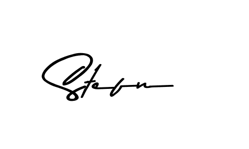 Make a beautiful signature design for name Stefn. Use this online signature maker to create a handwritten signature for free. Stefn signature style 9 images and pictures png