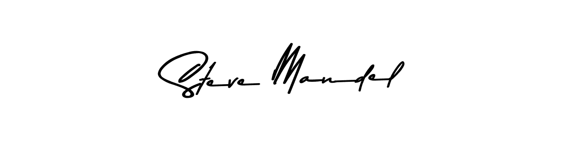 You should practise on your own different ways (Asem Kandis PERSONAL USE) to write your name (Steve Mandel) in signature. don't let someone else do it for you. Steve Mandel signature style 9 images and pictures png