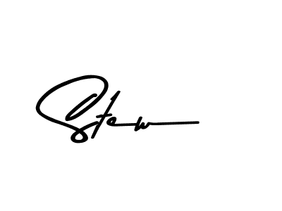 You should practise on your own different ways (Asem Kandis PERSONAL USE) to write your name (Stew) in signature. don't let someone else do it for you. Stew signature style 9 images and pictures png