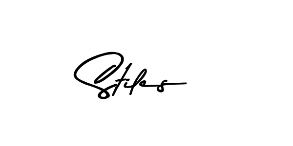 You should practise on your own different ways (Asem Kandis PERSONAL USE) to write your name (Stiles) in signature. don't let someone else do it for you. Stiles signature style 9 images and pictures png