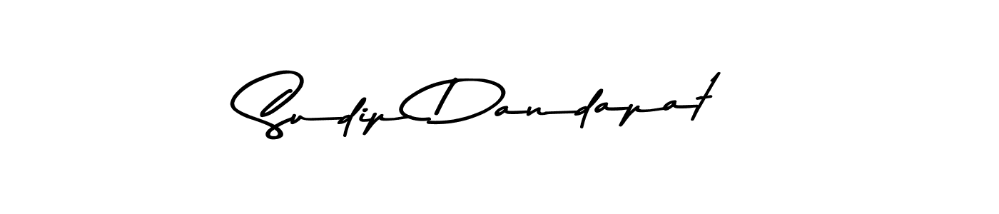You should practise on your own different ways (Asem Kandis PERSONAL USE) to write your name (Sudip Dandapat) in signature. don't let someone else do it for you. Sudip Dandapat signature style 9 images and pictures png