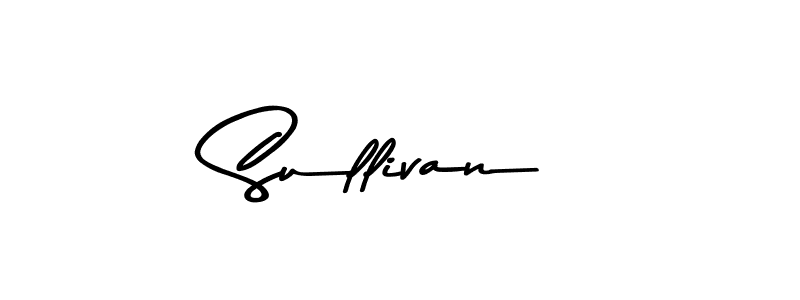 94+ Sullivan Name Signature Style Ideas | Exclusive Digital Signature