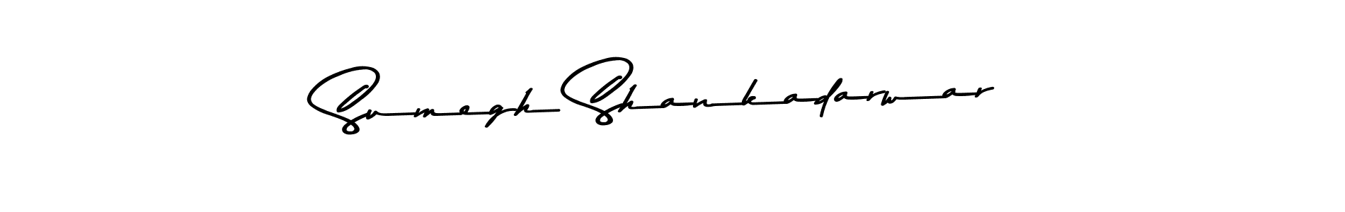 Make a beautiful signature design for name Sumegh Shankadarwar. Use this online signature maker to create a handwritten signature for free. Sumegh Shankadarwar signature style 9 images and pictures png