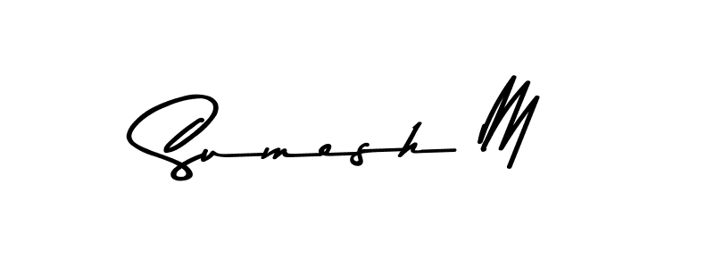 Make a beautiful signature design for name Sumesh M. Use this online signature maker to create a handwritten signature for free. Sumesh M signature style 9 images and pictures png