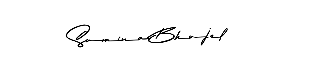 This is the best signature style for the Sumina Bhujel name. Also you like these signature font (Asem Kandis PERSONAL USE). Mix name signature. Sumina Bhujel signature style 9 images and pictures png