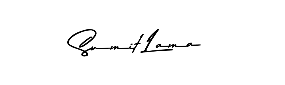 You can use this online signature creator to create a handwritten signature for the name Sumit Lama. This is the best online autograph maker. Sumit Lama signature style 9 images and pictures png