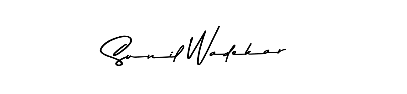 Here are the top 10 professional signature styles for the name Sunil Wadekar. These are the best autograph styles you can use for your name. Sunil Wadekar signature style 9 images and pictures png