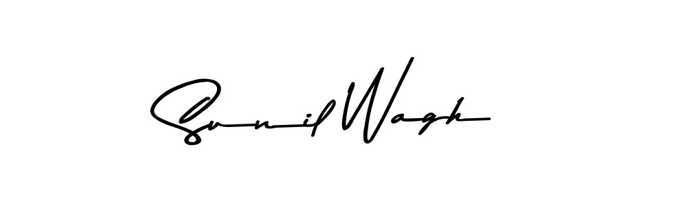 Once you've used our free online signature maker to create your best signature Asem Kandis PERSONAL USE style, it's time to enjoy all of the benefits that Sunil Wagh name signing documents. Sunil Wagh signature style 9 images and pictures png