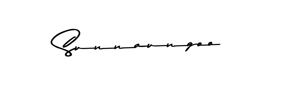 You should practise on your own different ways (Asem Kandis PERSONAL USE) to write your name (Sunnaungoo) in signature. don't let someone else do it for you. Sunnaungoo signature style 9 images and pictures png