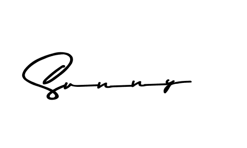 You should practise on your own different ways (Asem Kandis PERSONAL USE) to write your name (Sunny) in signature. don't let someone else do it for you. Sunny signature style 9 images and pictures png