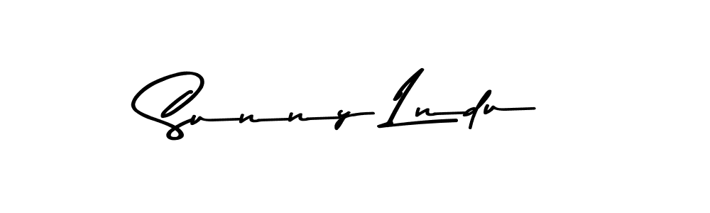 You should practise on your own different ways (Asem Kandis PERSONAL USE) to write your name (Sunny Lndu) in signature. don't let someone else do it for you. Sunny Lndu signature style 9 images and pictures png