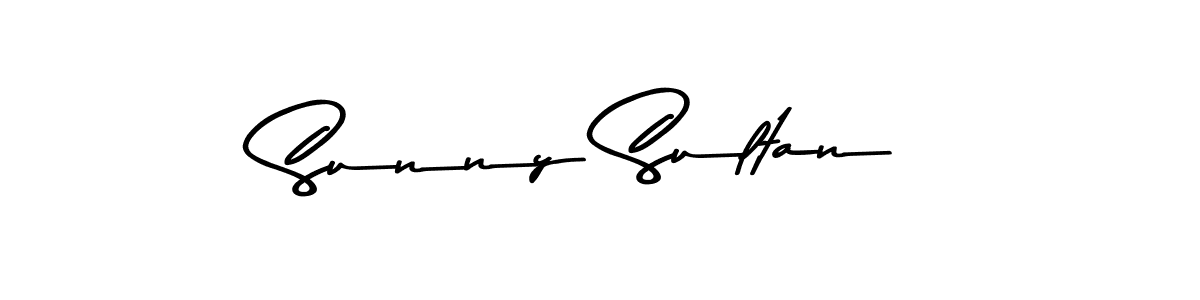 Sunny Sultan stylish signature style. Best Handwritten Sign (Asem Kandis PERSONAL USE) for my name. Handwritten Signature Collection Ideas for my name Sunny Sultan. Sunny Sultan signature style 9 images and pictures png