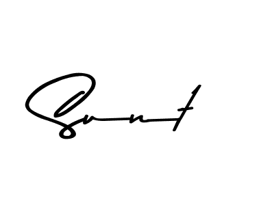 Here are the top 10 professional signature styles for the name Sunt. These are the best autograph styles you can use for your name. Sunt signature style 9 images and pictures png