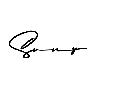 Make a beautiful signature design for name Suny. Use this online signature maker to create a handwritten signature for free. Suny signature style 9 images and pictures png