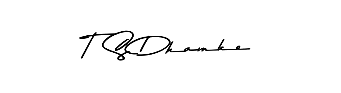 Best and Professional Signature Style for T  S Dhamke. Asem Kandis PERSONAL USE Best Signature Style Collection. T  S Dhamke signature style 9 images and pictures png