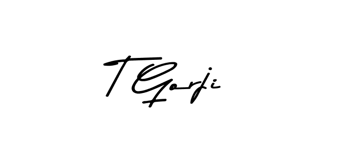 Make a beautiful signature design for name T Gorji. With this signature (Asem Kandis PERSONAL USE) style, you can create a handwritten signature for free. T Gorji signature style 9 images and pictures png