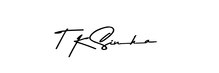 You should practise on your own different ways (Asem Kandis PERSONAL USE) to write your name (T K Sinha) in signature. don't let someone else do it for you. T K Sinha signature style 9 images and pictures png