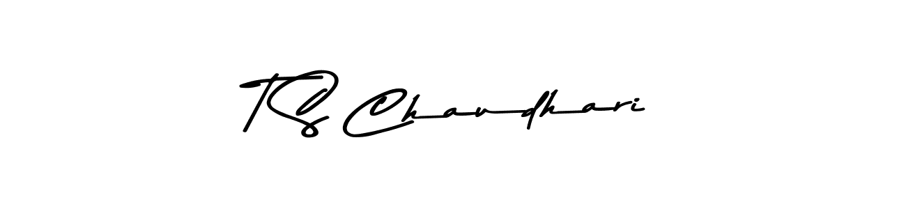 Check out images of Autograph of T S Chaudhari name. Actor T S Chaudhari Signature Style. Asem Kandis PERSONAL USE is a professional sign style online. T S Chaudhari signature style 9 images and pictures png