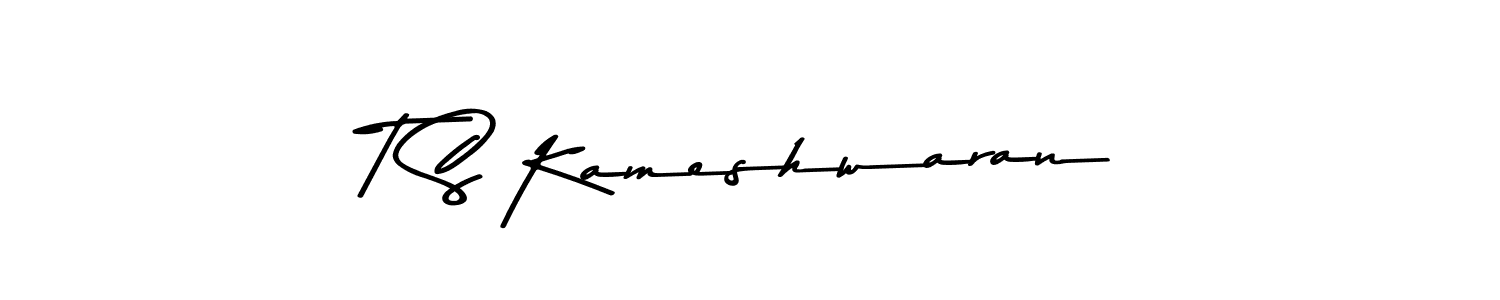 T S Kameshwaran stylish signature style. Best Handwritten Sign (Asem Kandis PERSONAL USE) for my name. Handwritten Signature Collection Ideas for my name T S Kameshwaran. T S Kameshwaran signature style 9 images and pictures png