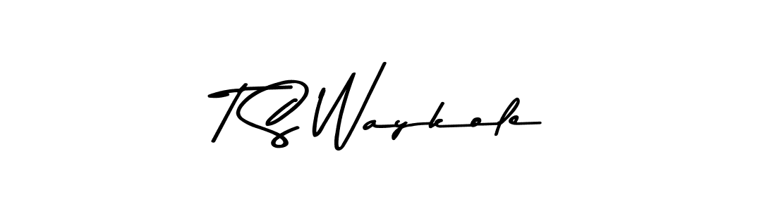 Use a signature maker to create a handwritten signature online. With this signature software, you can design (Asem Kandis PERSONAL USE) your own signature for name T S Waykole. T S Waykole signature style 9 images and pictures png