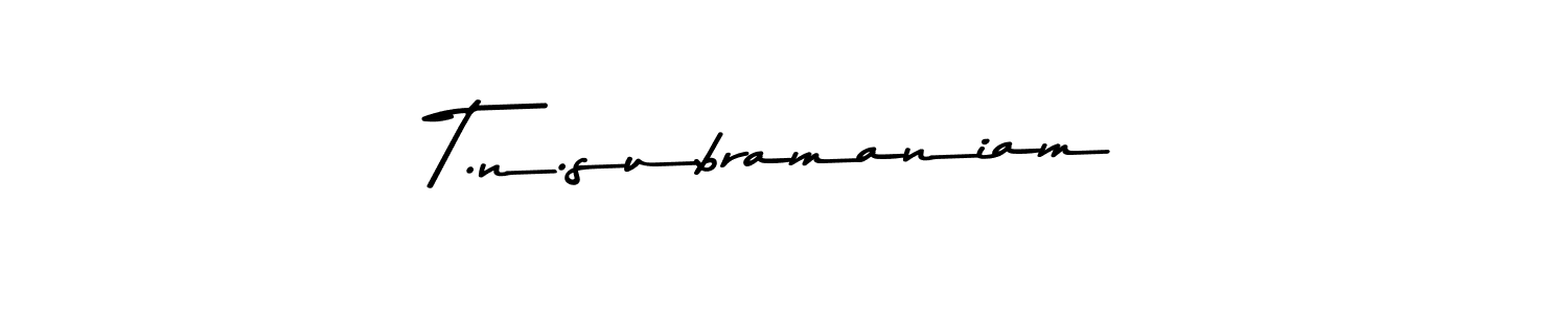 T.n.subramaniam stylish signature style. Best Handwritten Sign (Asem Kandis PERSONAL USE) for my name. Handwritten Signature Collection Ideas for my name T.n.subramaniam. T.n.subramaniam signature style 9 images and pictures png