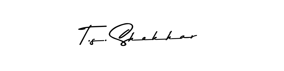 T.s. Shekhar stylish signature style. Best Handwritten Sign (Asem Kandis PERSONAL USE) for my name. Handwritten Signature Collection Ideas for my name T.s. Shekhar. T.s. Shekhar signature style 9 images and pictures png