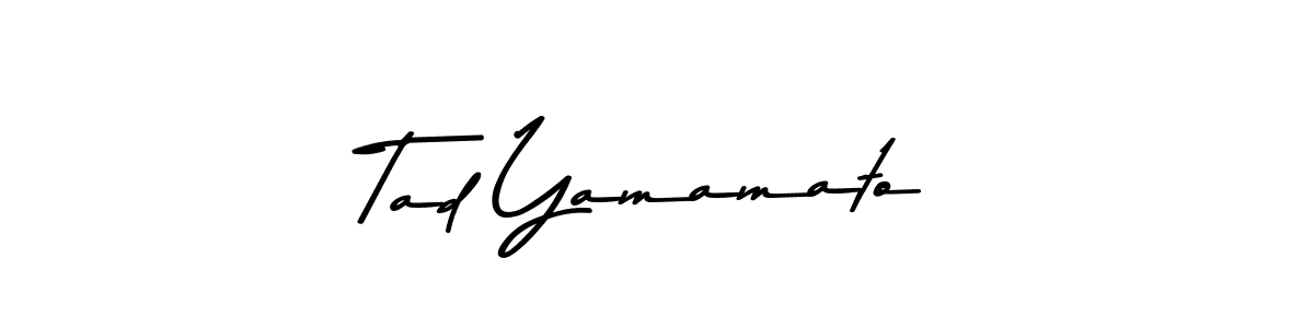 You should practise on your own different ways (Asem Kandis PERSONAL USE) to write your name (Tad Yamamato) in signature. don't let someone else do it for you. Tad Yamamato signature style 9 images and pictures png