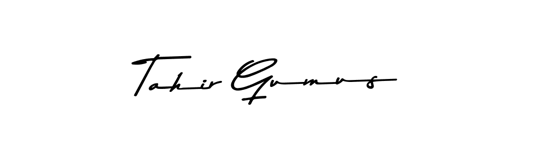 Make a beautiful signature design for name Tahir Gumus. Use this online signature maker to create a handwritten signature for free. Tahir Gumus signature style 9 images and pictures png