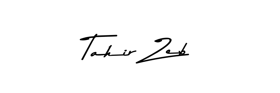 Tahir Zeb stylish signature style. Best Handwritten Sign (Asem Kandis PERSONAL USE) for my name. Handwritten Signature Collection Ideas for my name Tahir Zeb. Tahir Zeb signature style 9 images and pictures png