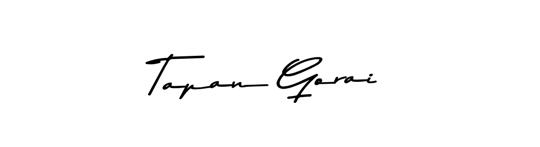 You should practise on your own different ways (Asem Kandis PERSONAL USE) to write your name (Tapan Gorai) in signature. don't let someone else do it for you. Tapan Gorai signature style 9 images and pictures png