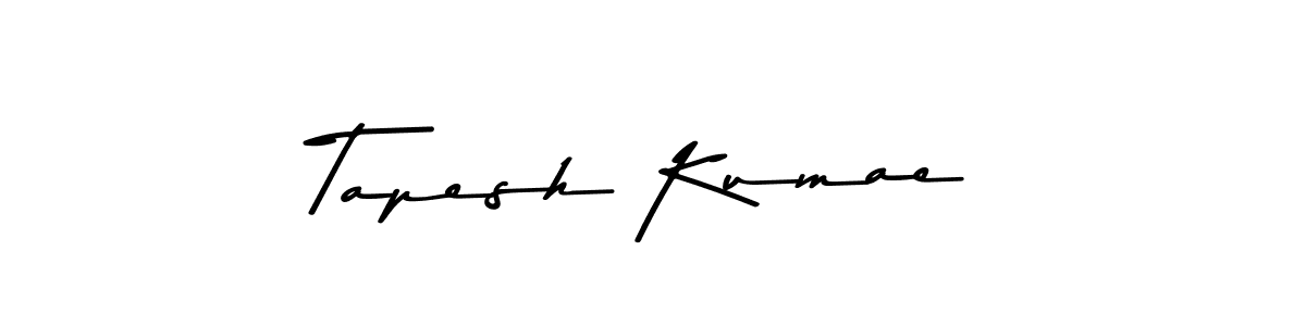 This is the best signature style for the Tapesh Kumae name. Also you like these signature font (Asem Kandis PERSONAL USE). Mix name signature. Tapesh Kumae signature style 9 images and pictures png