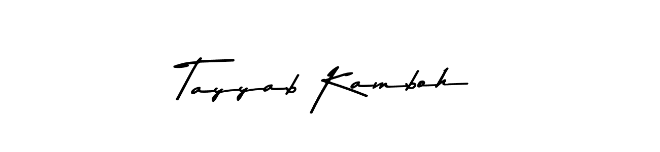 Similarly Asem Kandis PERSONAL USE is the best handwritten signature design. Signature creator online .You can use it as an online autograph creator for name Tayyab Kamboh. Tayyab Kamboh signature style 9 images and pictures png