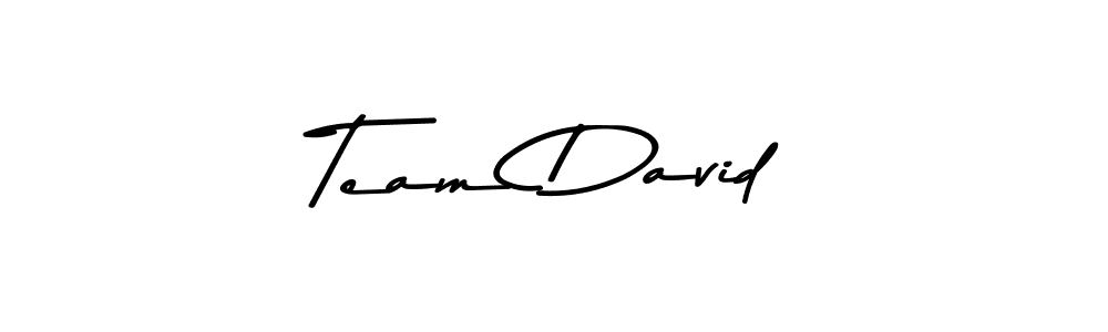 How to make Team David signature? Asem Kandis PERSONAL USE is a professional autograph style. Create handwritten signature for Team David name. Team David signature style 9 images and pictures png