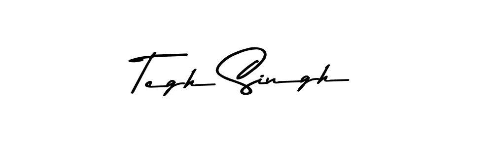 Asem Kandis PERSONAL USE is a professional signature style that is perfect for those who want to add a touch of class to their signature. It is also a great choice for those who want to make their signature more unique. Get Tegh Singh name to fancy signature for free. Tegh Singh signature style 9 images and pictures png