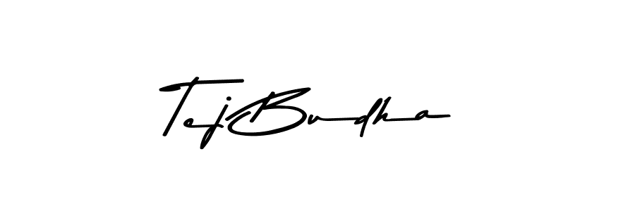 Design your own signature with our free online signature maker. With this signature software, you can create a handwritten (Asem Kandis PERSONAL USE) signature for name Tej Budha. Tej Budha signature style 9 images and pictures png