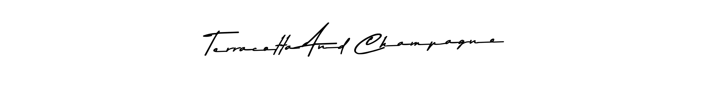 You should practise on your own different ways (Asem Kandis PERSONAL USE) to write your name (Terracotta And Champagne) in signature. don't let someone else do it for you. Terracotta And Champagne signature style 9 images and pictures png